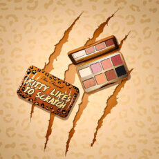 پالت سایه چشم توفیسد مدل  Kitty Likes To Scratch