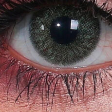 لنز چشم هرا کد 678 رنگ سبز زمردی