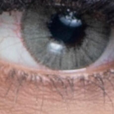 لنز چشم رویال ویژن کد 912 رنگ سبز زیتونی دور دار