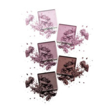 پالت سایه چشم تاپ فیس مدل پرو 5