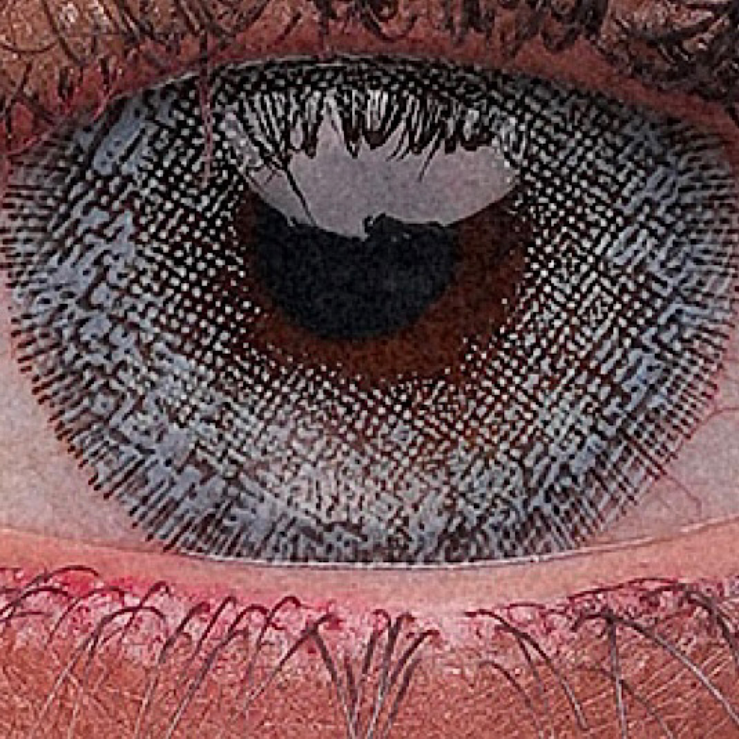 لنز چشم رویال ویژن کد 845 رنگ آبی دریایی