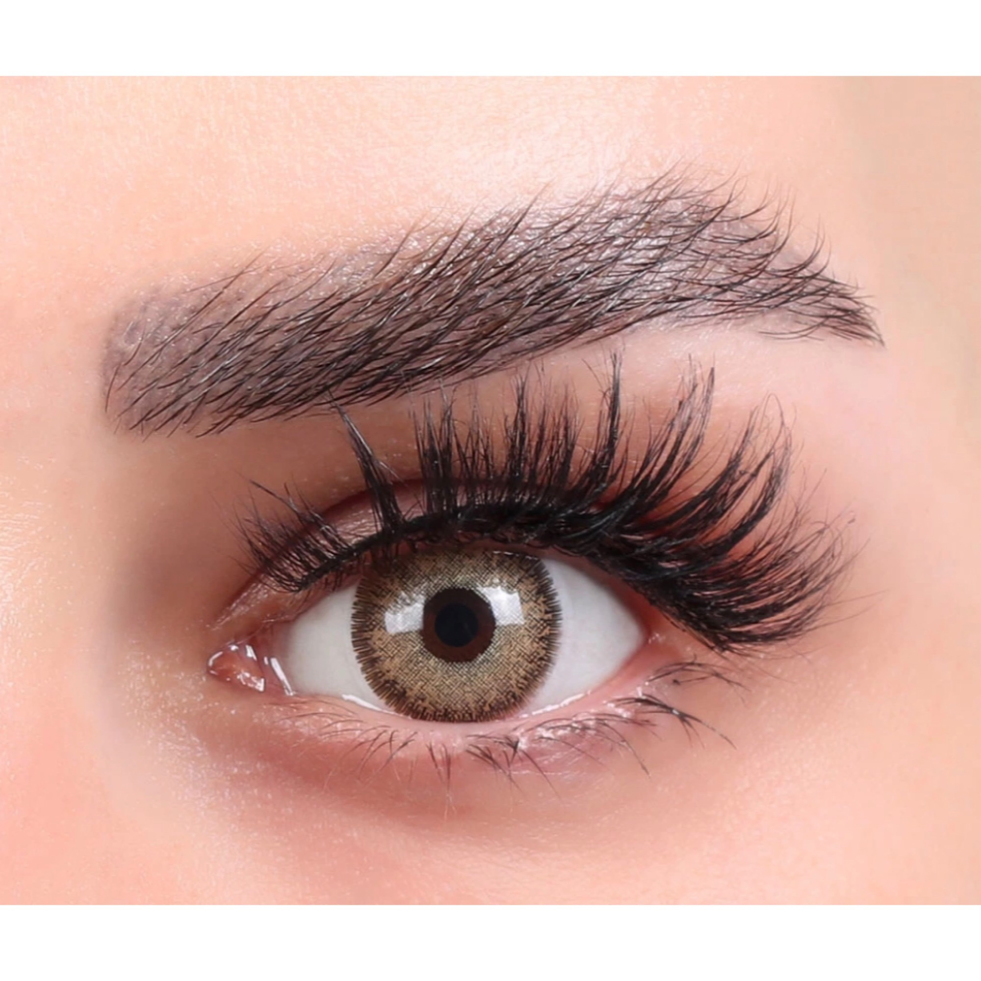 لنز چشم بیوتی شماره 19 مدل RZA320 رنگ عسلی