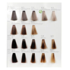 رنگ مو فشینلی سری Ash مدل بلوند دودي شماره 8.1