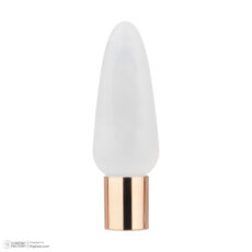 پرایمر صورت سالوته پرو مدل TR521 مناسب برای انواع پوست حجم 30 میلیلیتر