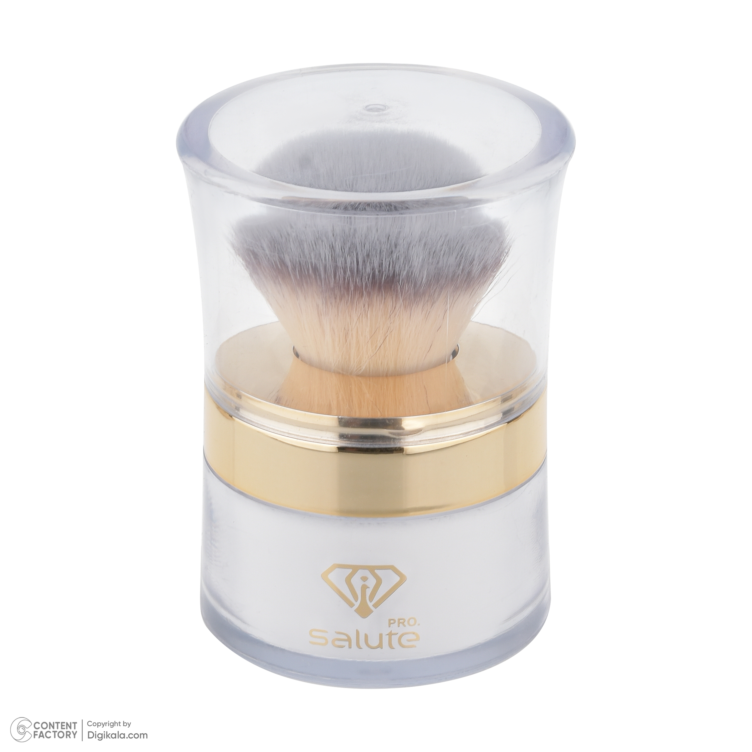 پودر تثبیت کننده آرایش سالوته پرو مدل S-01