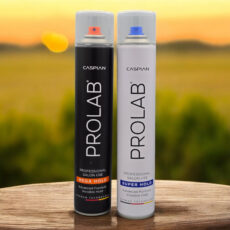 اسپری مو کاسپین مدل Super hold حجم 500 میلی لیتر به همراه اسپری مو کاسپین مدل Mega Hold حجم 500 میلی لیتر