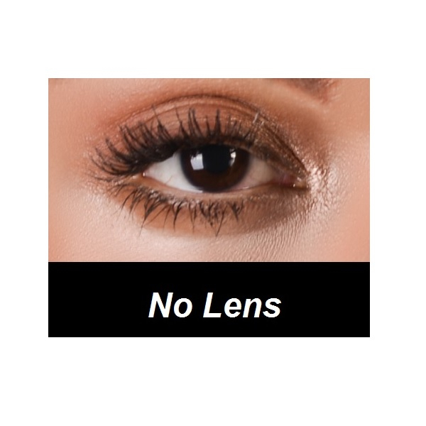 لنز چشم فلش مدل ونیکول رنگ طوسی صدفی روشن