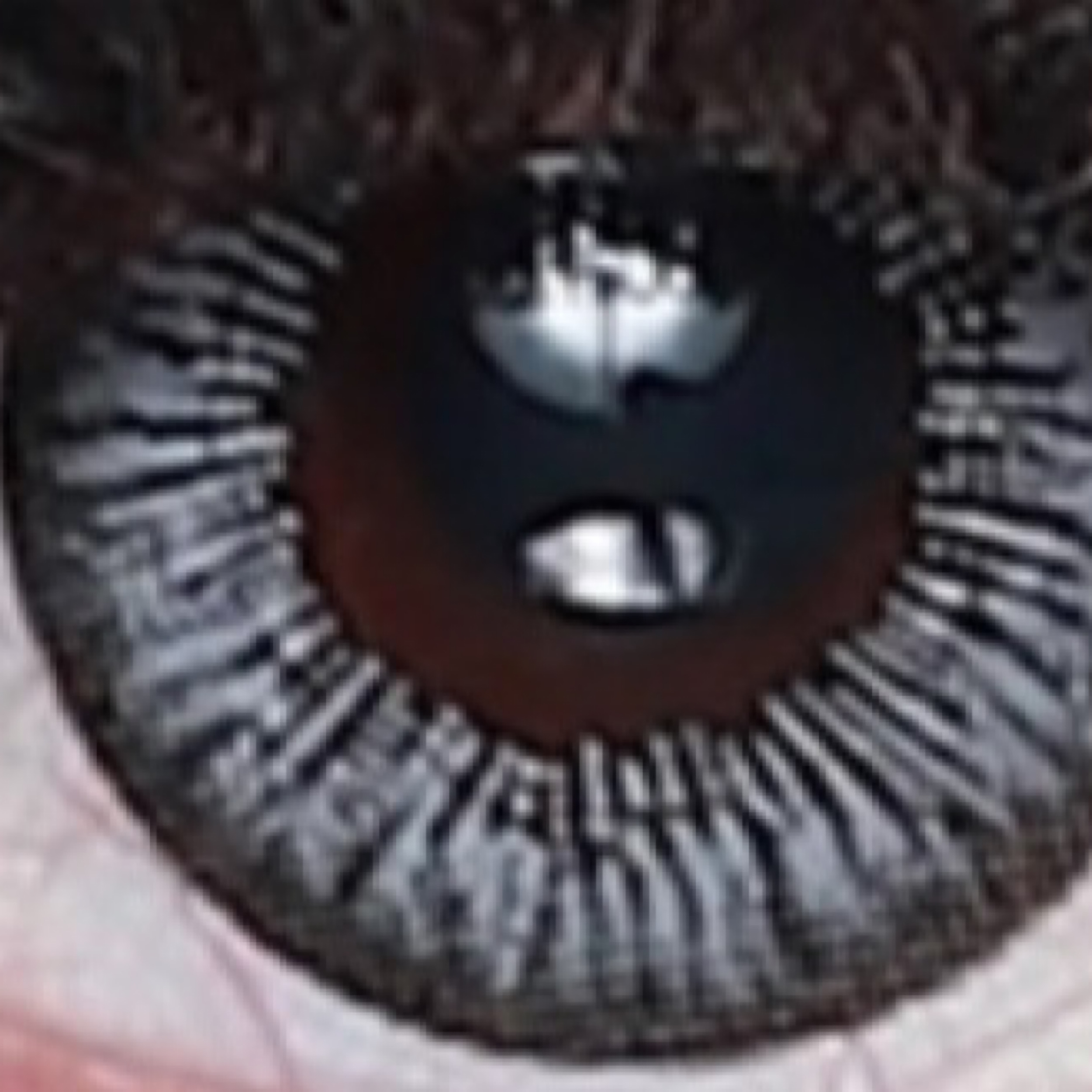 لنز چشم هرا کد 988 رنگ طوسی