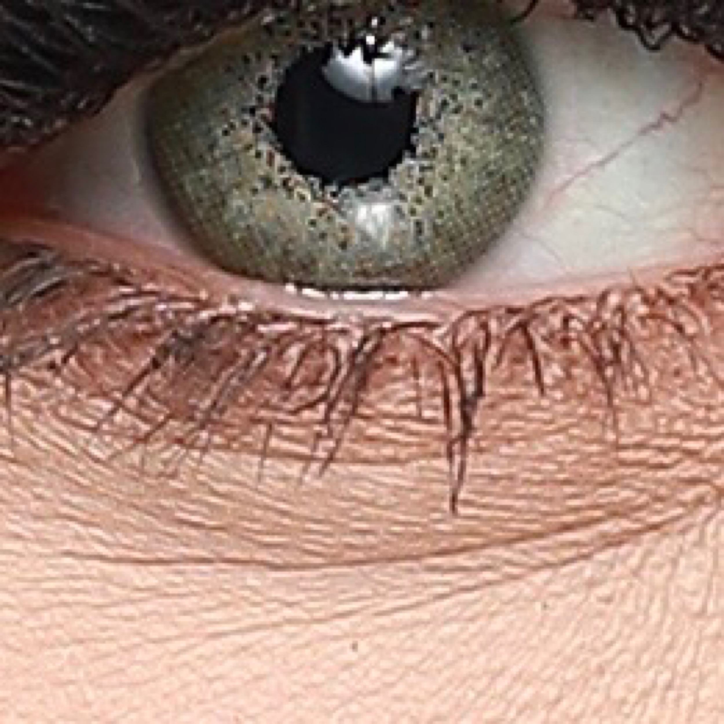 لنز چشم هرا کد 523 رنگ سبز عسلی