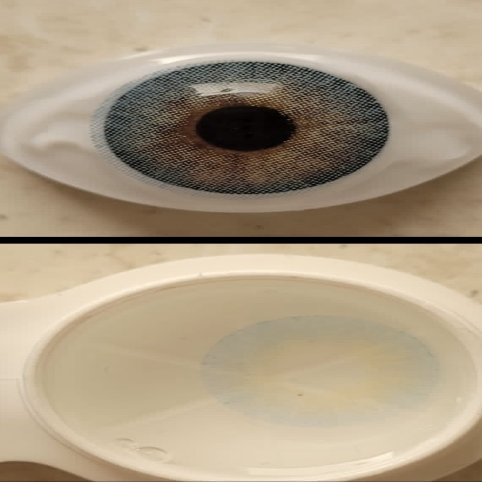 لنز چشم رویال ویژن کد 3931 رنگ آبی اقیانوسی