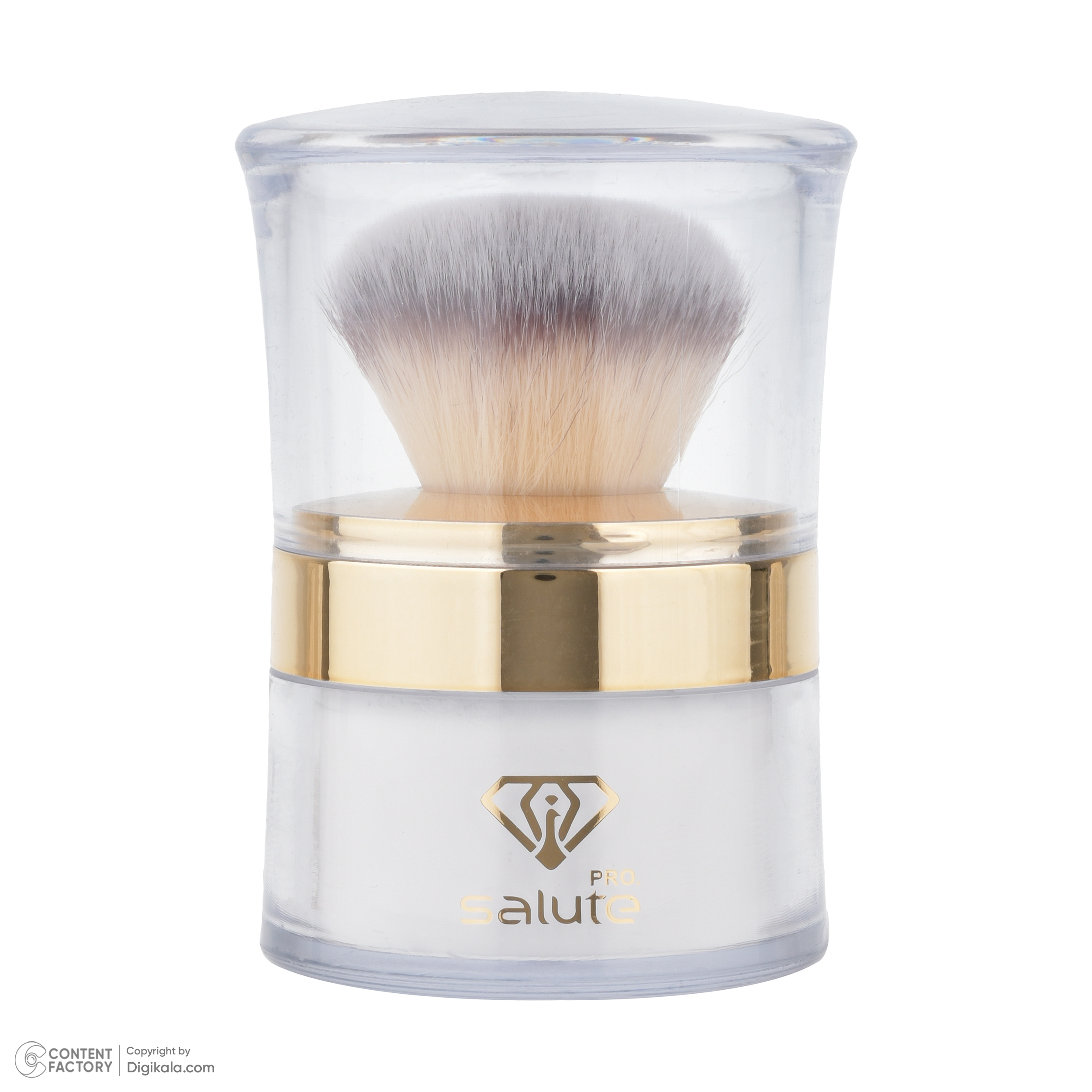پودر تثبیت کننده آرایش سالوته پرو مدل S-01