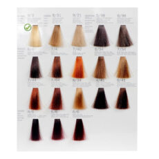 رنگ مو فشینلی سری Golden مدل بلوند آفتابي شماره 9.3