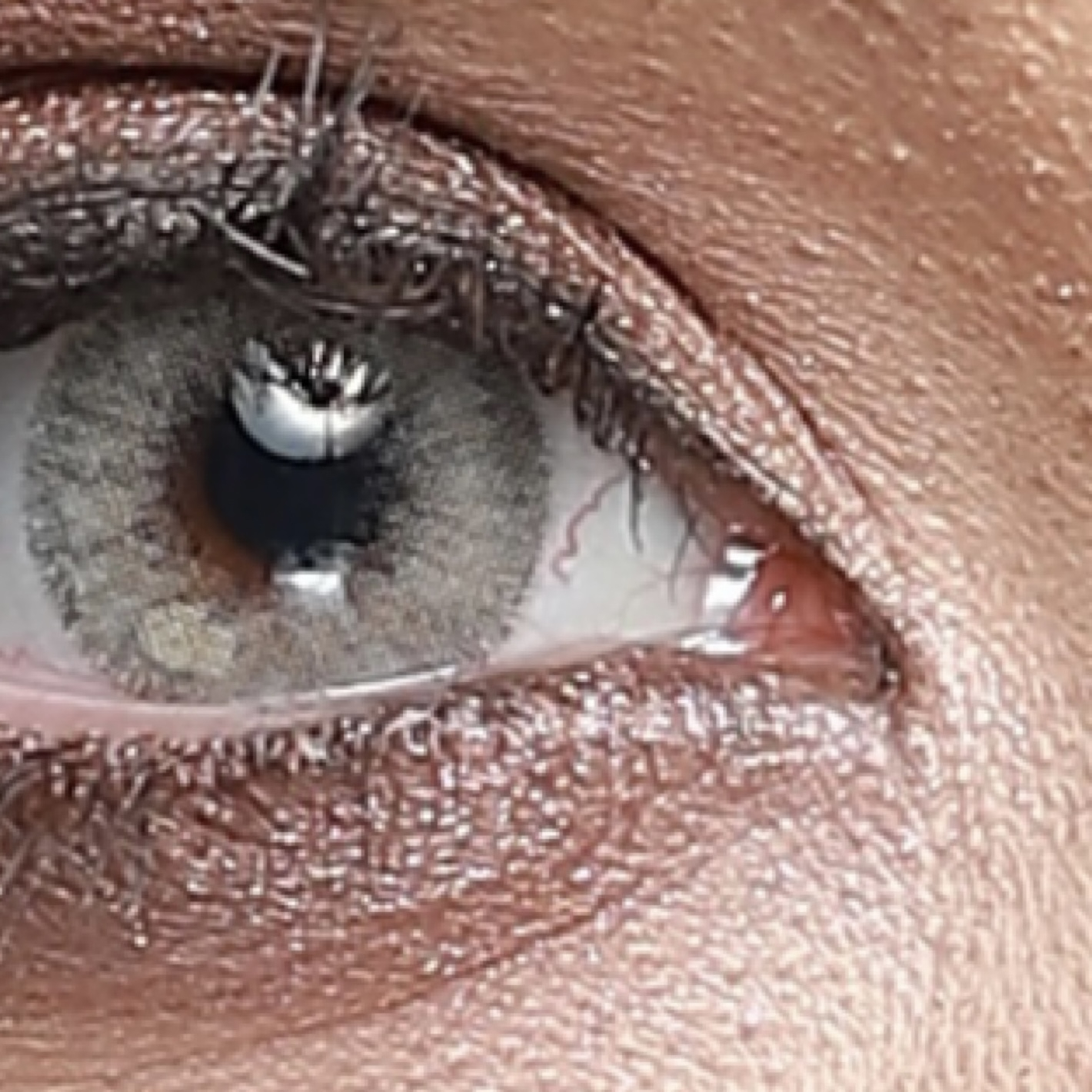 لنز چشم بیوتی کد 116 رنگ خاکستری عسلی دور دار