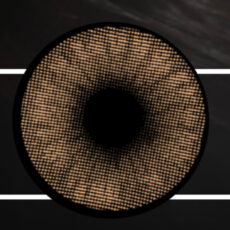 لنز چشم هرا گریس تمیم کانتکت لنز کد 29 رنگ عسلی روشن