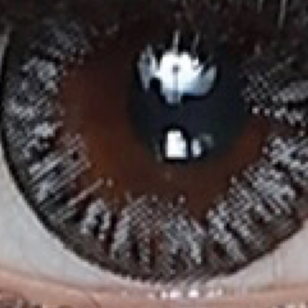 لنز چشم هرا کد 910 رنگ طوسی آبی