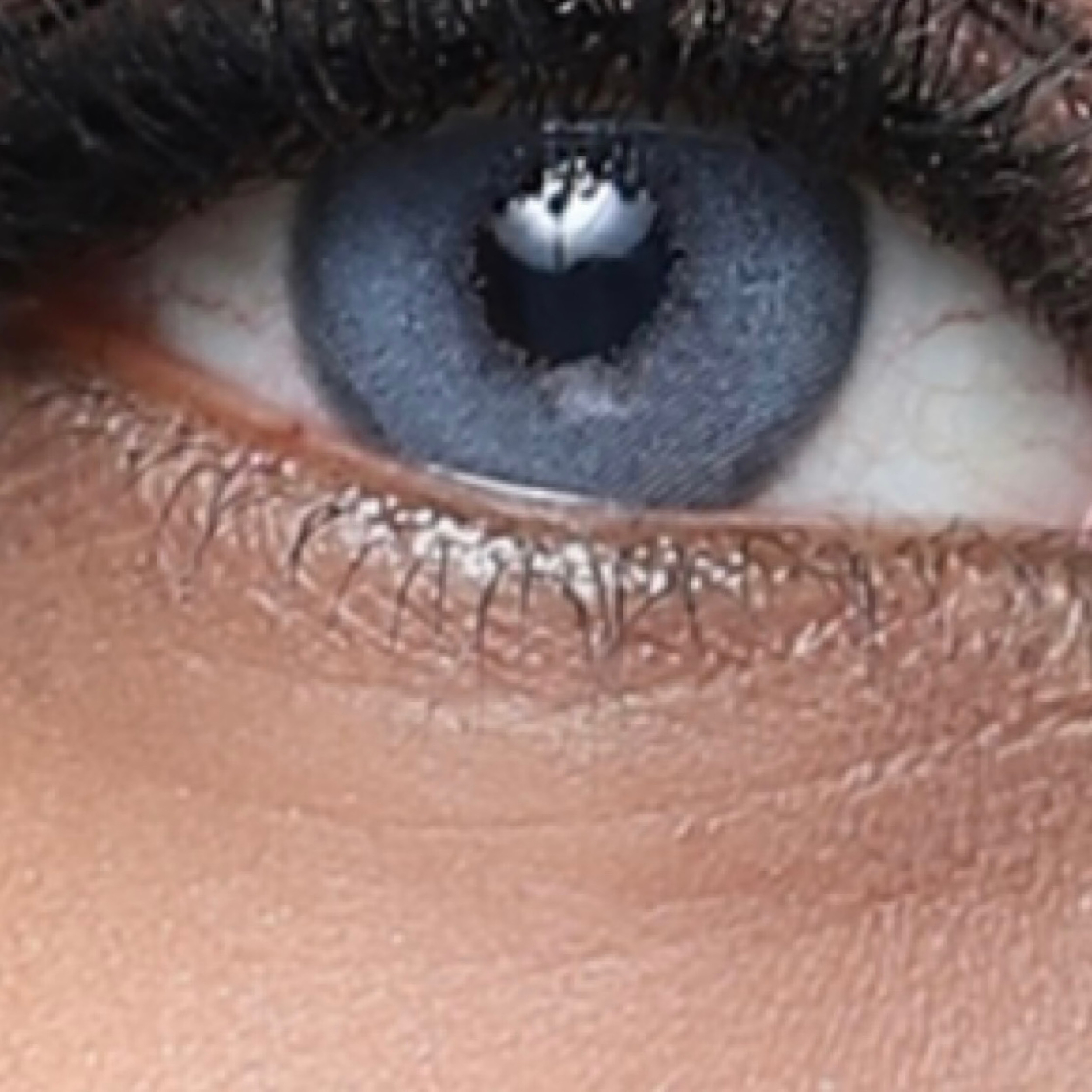 لنز چشم هرا گریس تمیم کانتکت لنز کد 63 رنگ آبی دور ملایم