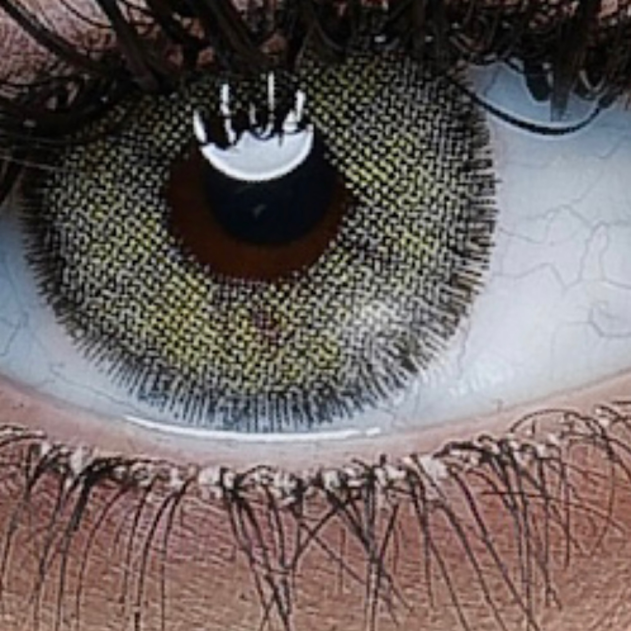 لنز چشم هرا کد 122 رنگ سبز دور دار