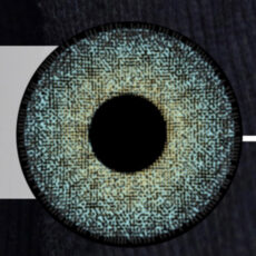 لنز چشم رویال ویژن کد 367 رنگ دور دار سبز آبی