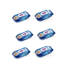 دستمال مرطوب چانف مدل 90 مجموعه 6 عددی