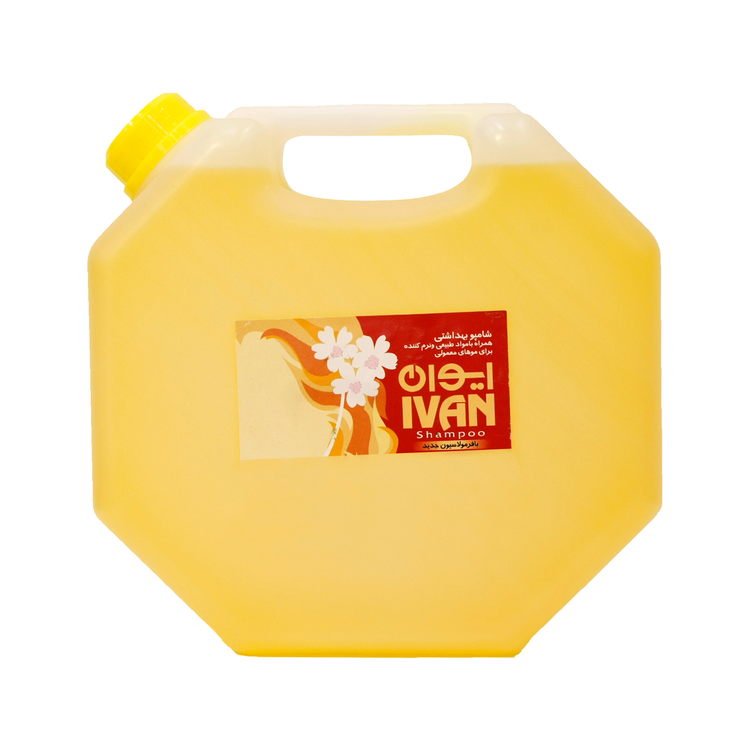 شامپو مو ایوان کد 02 حجم 4000 میلی لیتر