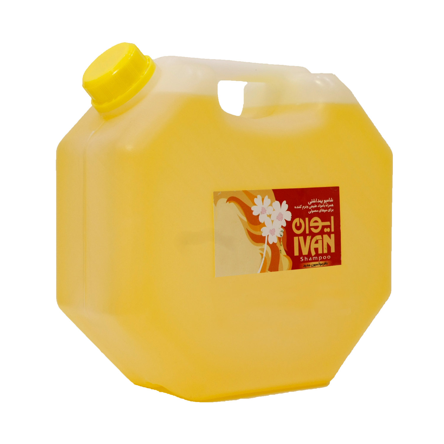 شامپو مو ایوان کد 02 حجم 4000 میلی لیتر