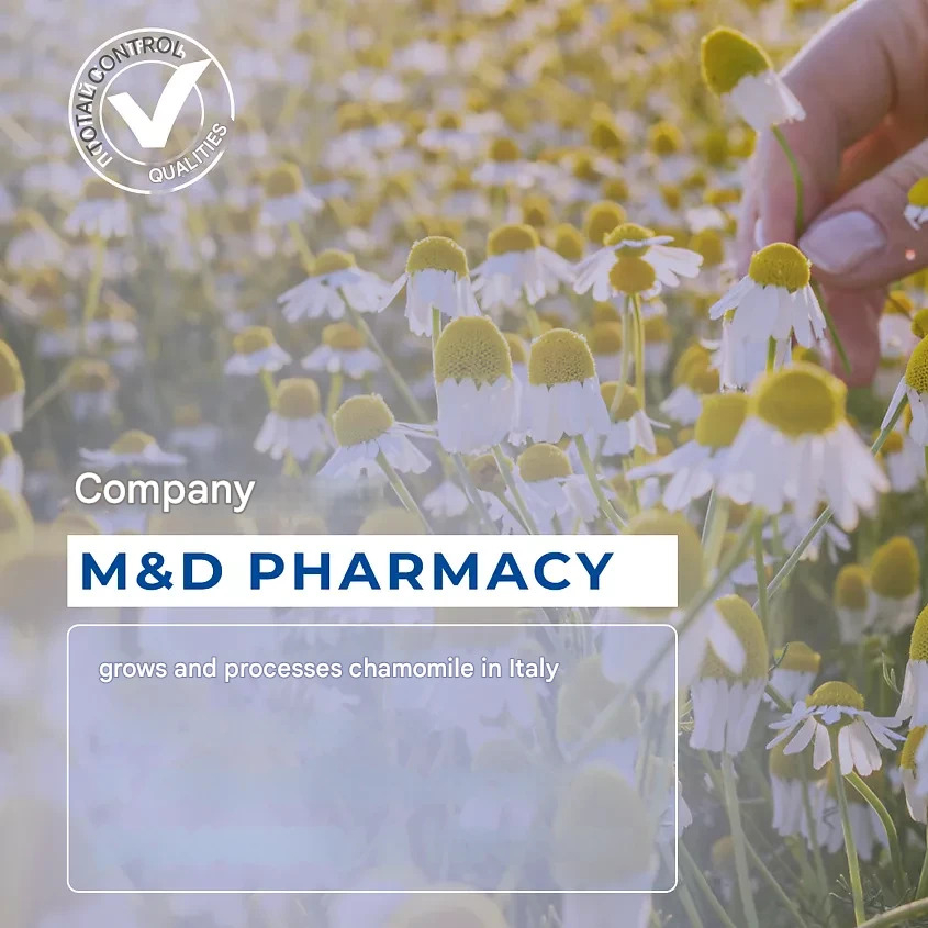 ژل بهداشتی بانوان کامومیلا مدل Anti septic حجم 300 میلی لیتر