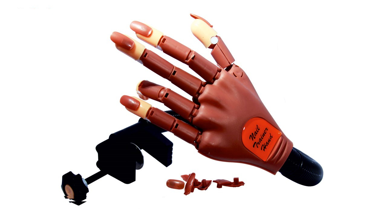 ماکت آموزشی دست نوباراکس مدل مفصل دار