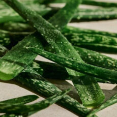 تونر پاک کننده پوست صورت بادی شاپ مدل Aloe سازگار با پوست حساس حجم 250 میلی لیتر