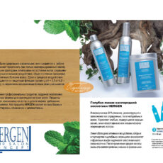 لوسیون ترمیم کننده مو بس مدل Hergen حجم 300 میلی لیتر