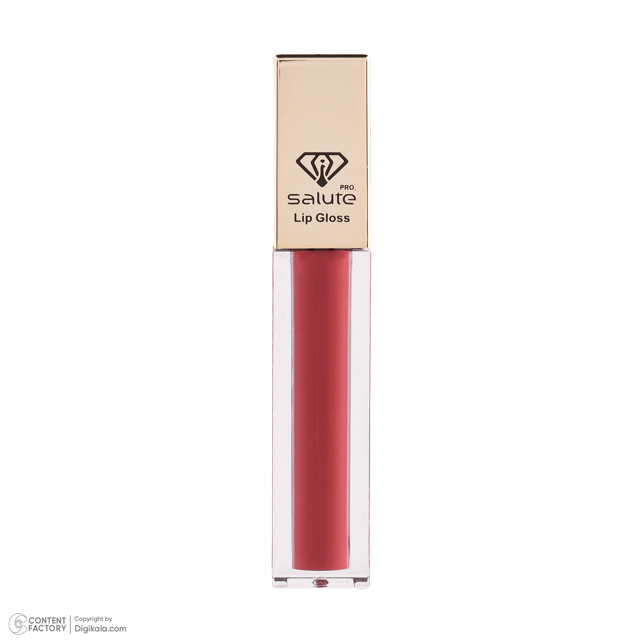 رژ لب مایع سالوته پرو شماره 308