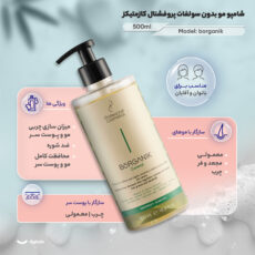 شامپو مو بدون سولفات پروفشنال کازمتیکز مدل borganik حجم 500 میلی لیتر