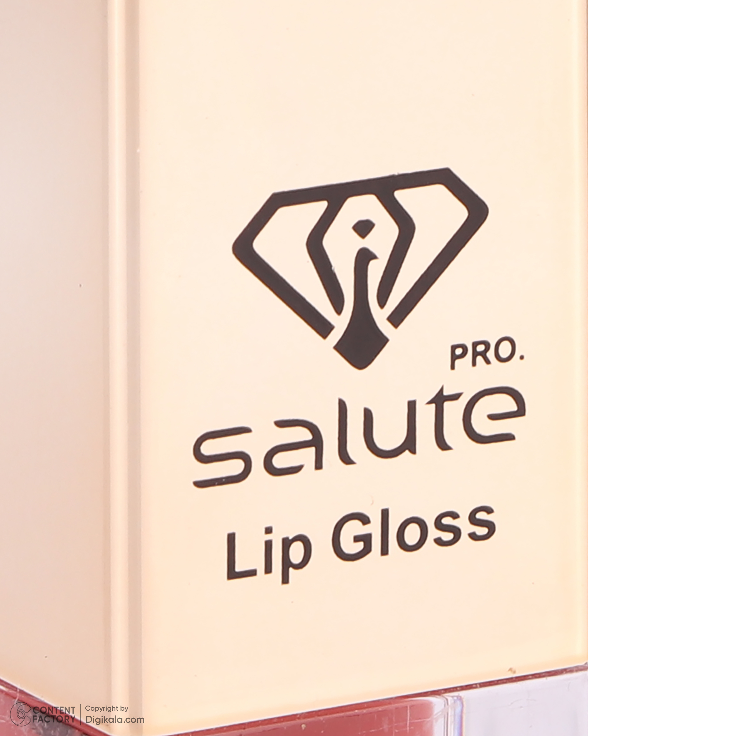 رژ لب مایع سالوته پرو شماره 307
