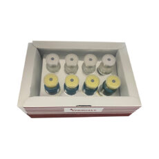 سرم تقویت کننده مو پروپرنسلی مدل 252 حجم 25 میلی لیتر بسته 8 عددی