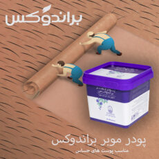 پودر موبر براندوکس مدل میموزا وزن 300 گرم مجموعه 6 عددی