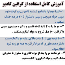 کراتین مو برزیل کاکایو مدل کادیو حجم 1000 میلی لیتر به همراه شامپو مو حجم 1000 میلی لیتر