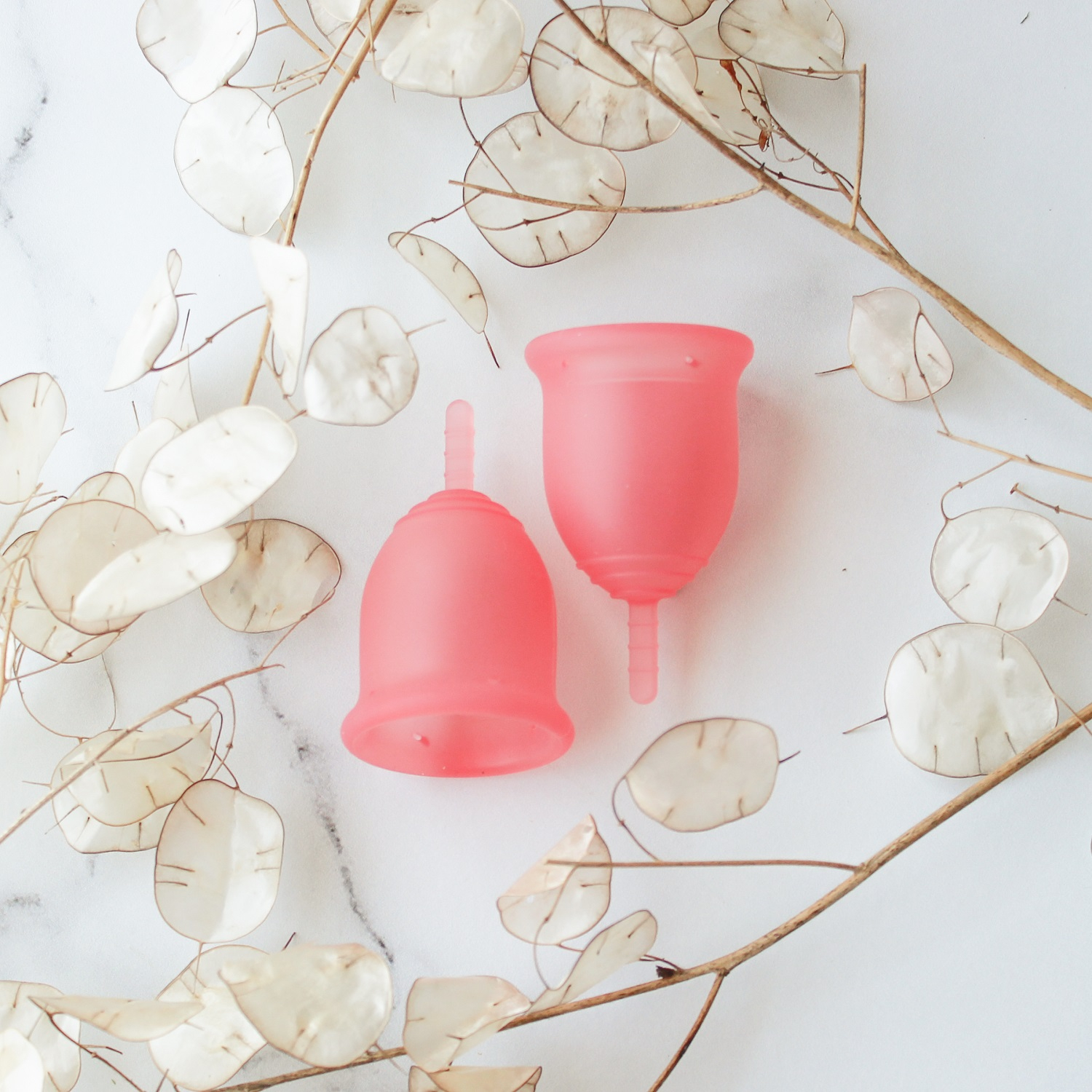 کاپ قاعدگی لیوا فارما مدل Plus سایز متوسط مجموعه 2 عددی