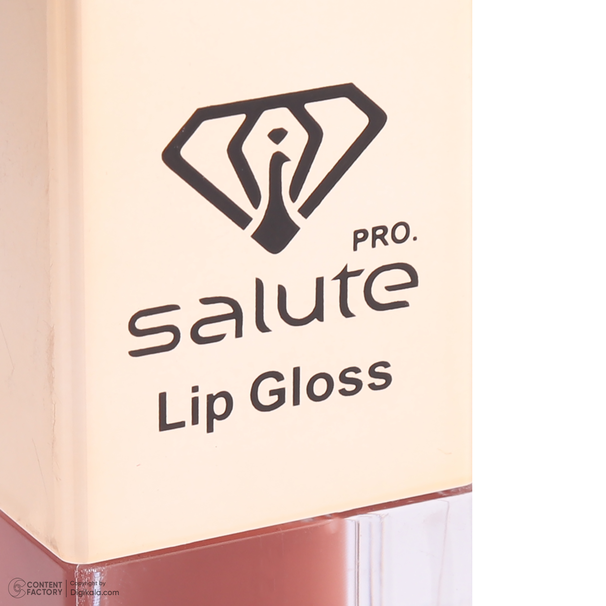 رژ لب مایع سالوته پرو شماره 301
