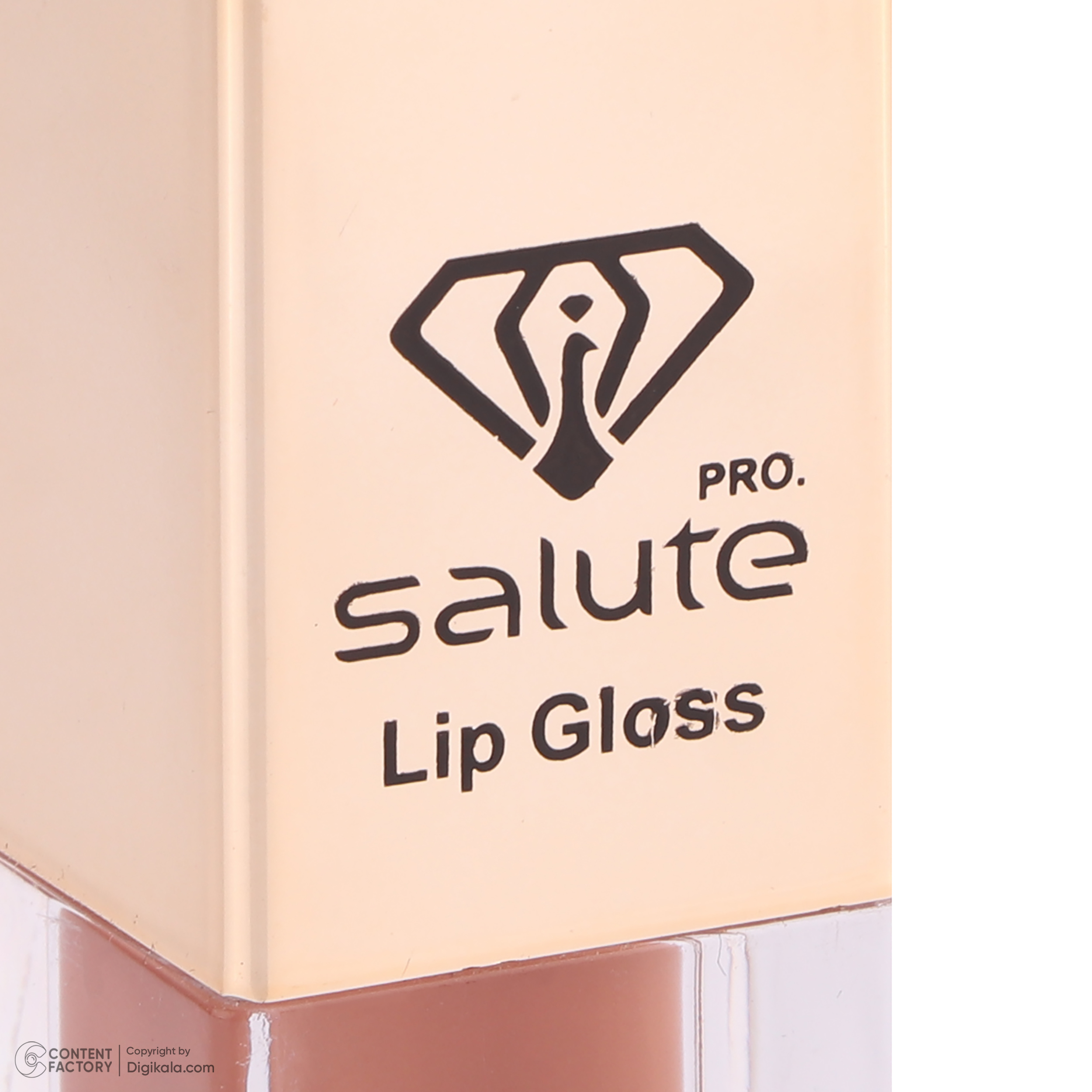 رژ لب مایع سالوته پرو شماره 310