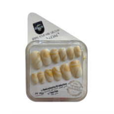 ناخن مصنوعی دست میراکل آرت مدل R2400103 بسته 24 عددی