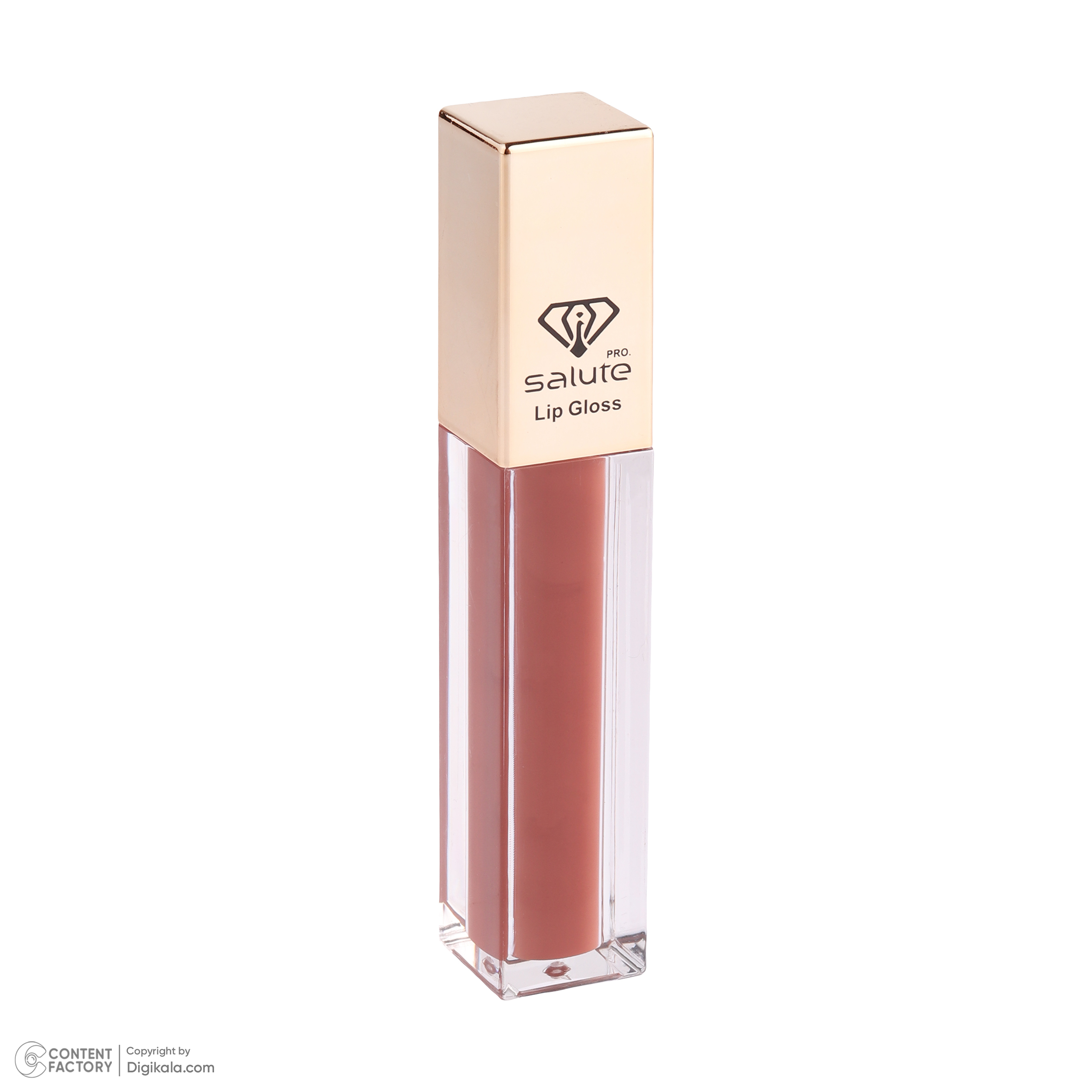 رژ لب مایع سالوته پرو شماره 301