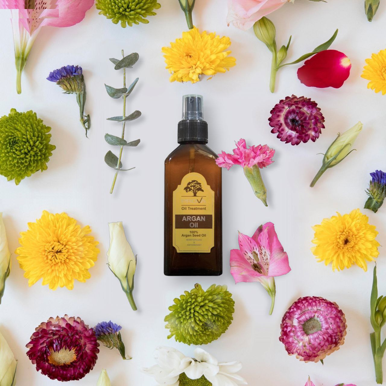 روغن آرگان پروا مدل RZZDEH-039-PROA حجم 100 میلی لیتر