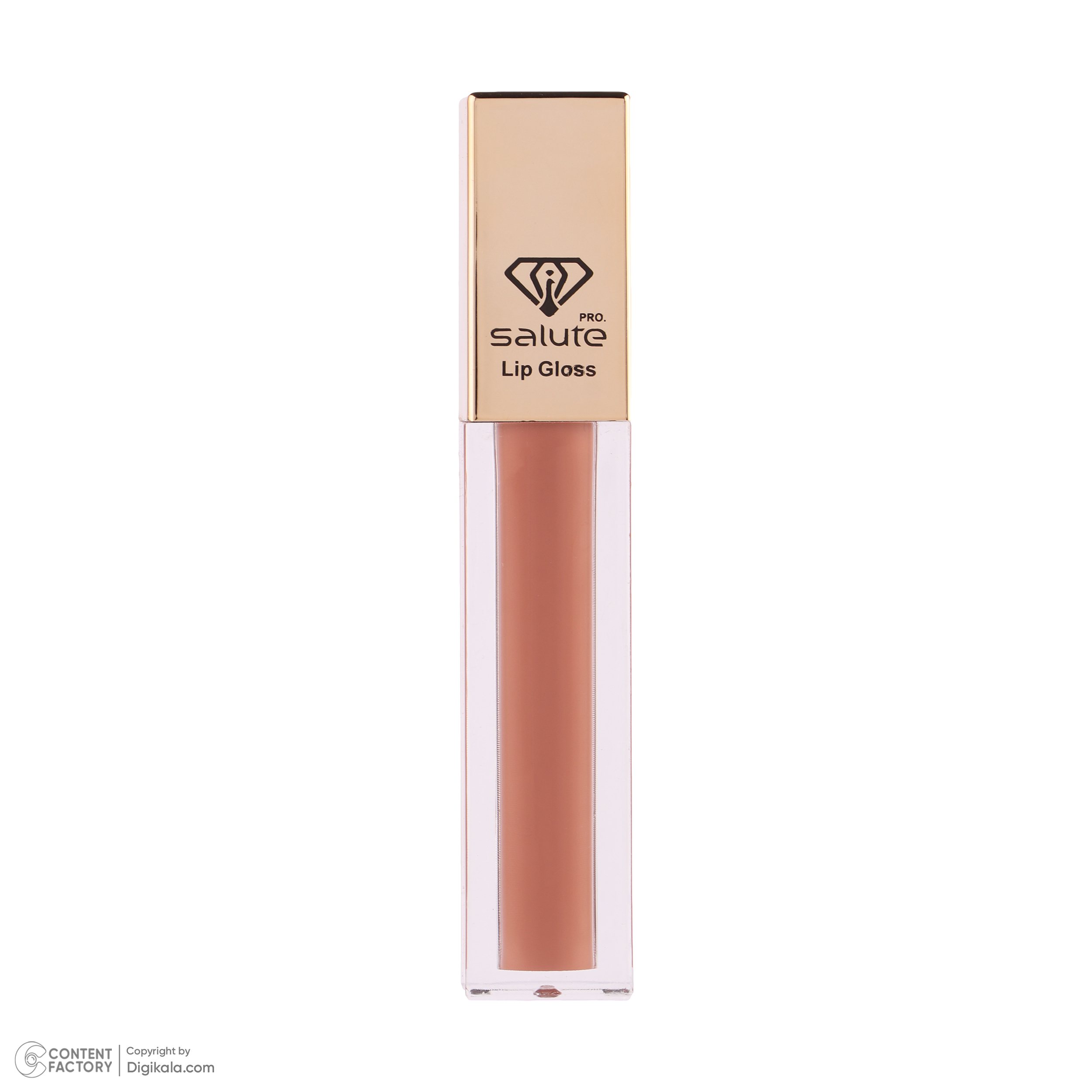 رژ لب مایع سالوته پرو شماره 310