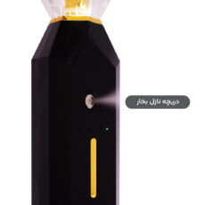 میکرودرم خانگی مدل بخاردار