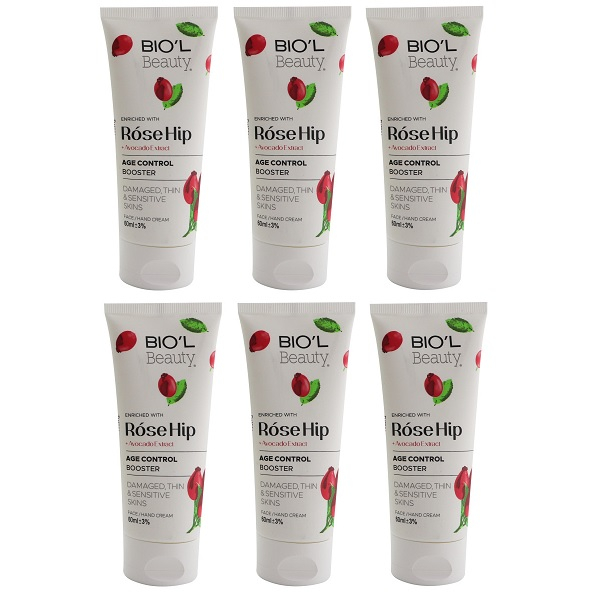 کرم مرطوب کننده بیول مدل Rose Hip  حجم 60 میلی لیتر مجموعه 6 عددی