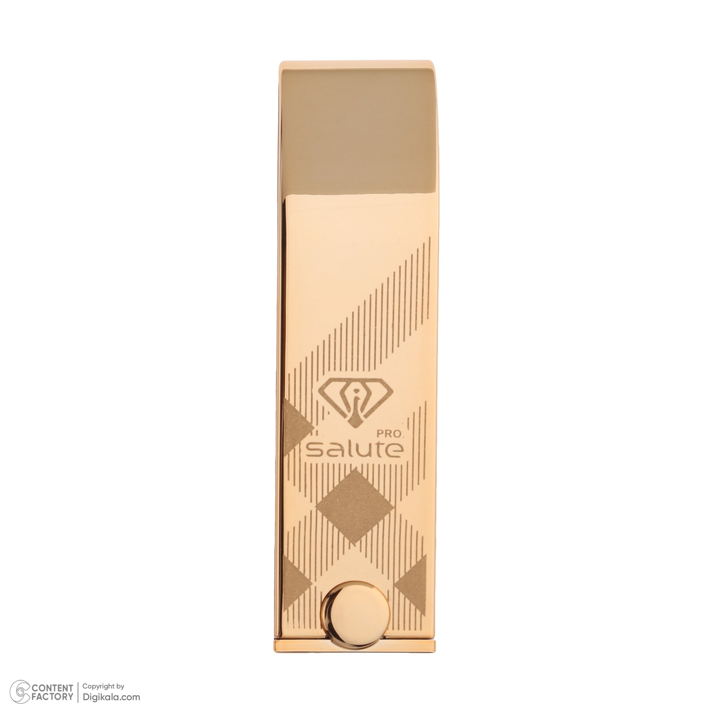 رژ لب جامد سالوته پرو شماره 909