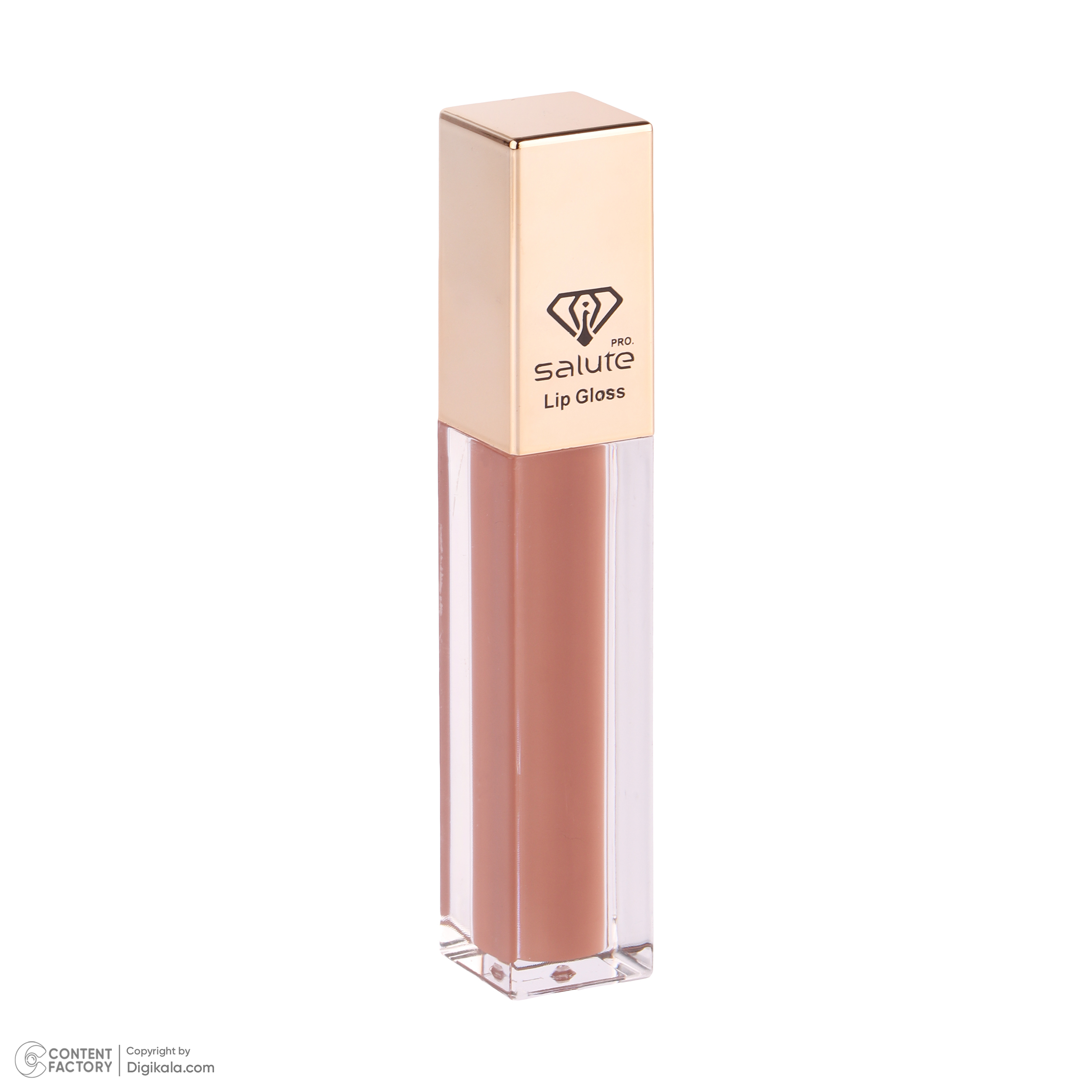 رژ لب مایع سالوته پرو شماره 310