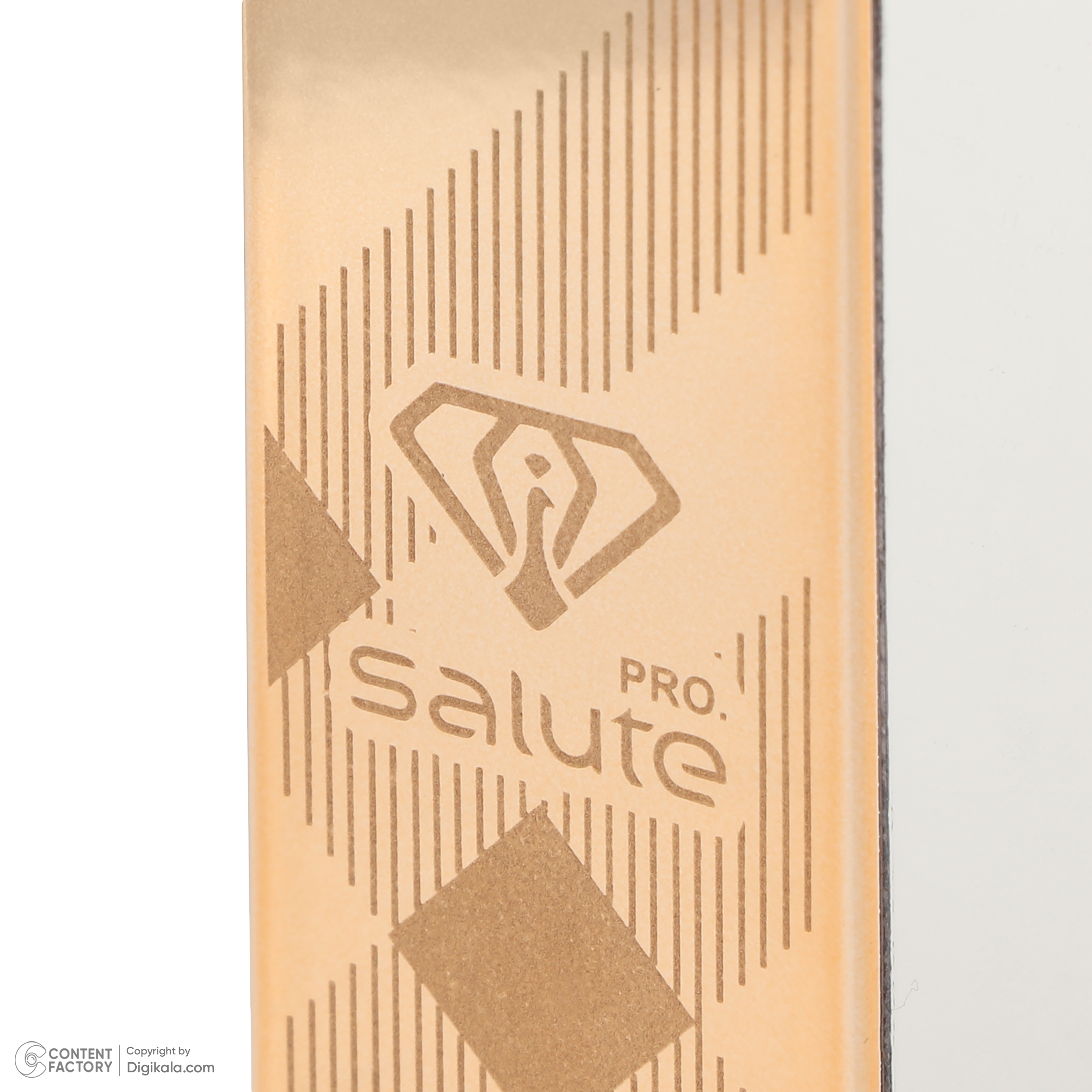 رژ لب جامد سالوته پرو شماره 909