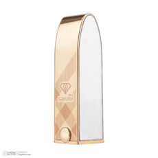 رژ لب جامد سالوته پرو شماره S993