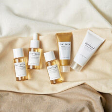 مجموعه مراقبت پوستی سانتلا مدل مسافرتی 01 مجموعه 5 عددی