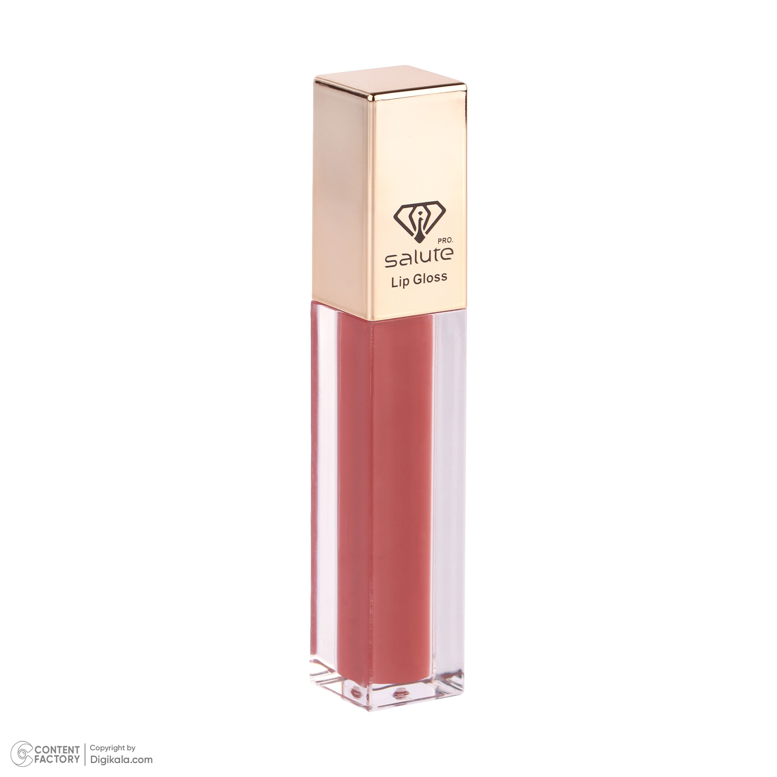رژ لب مایع سالوته پرو شماره 307